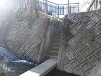 d0086228_1538158.jpg