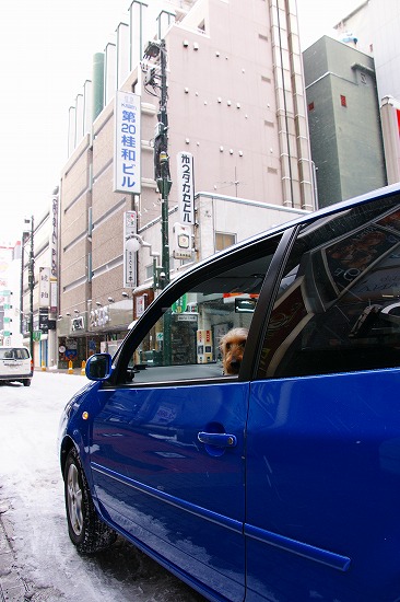 f0046128_7431281.jpg