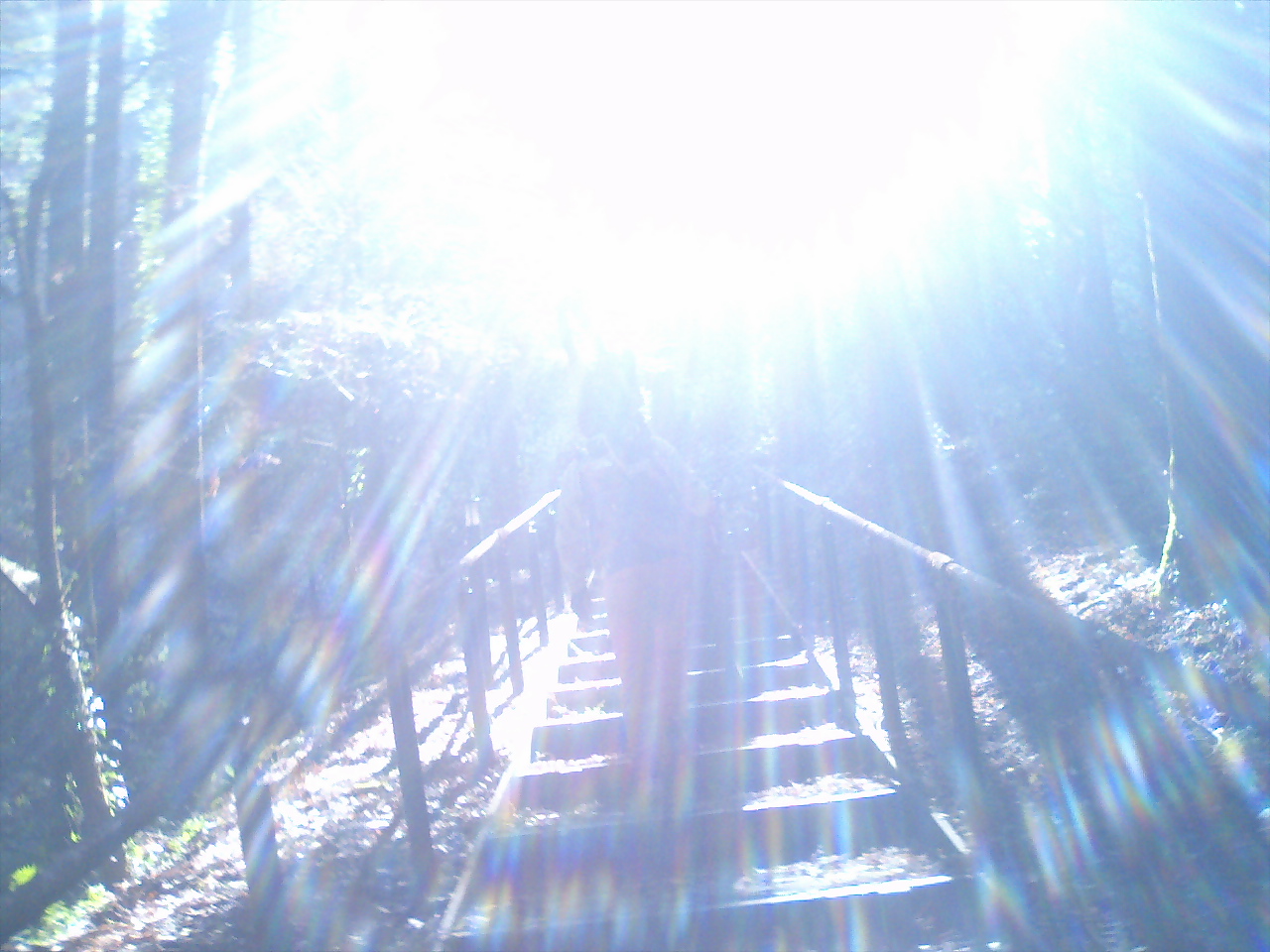 e0138939_21574862.jpg