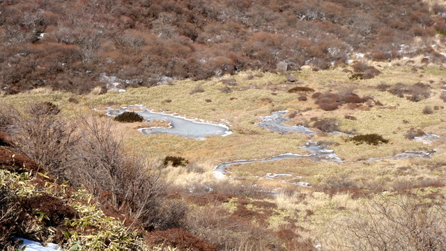 b0168843_94174.jpg