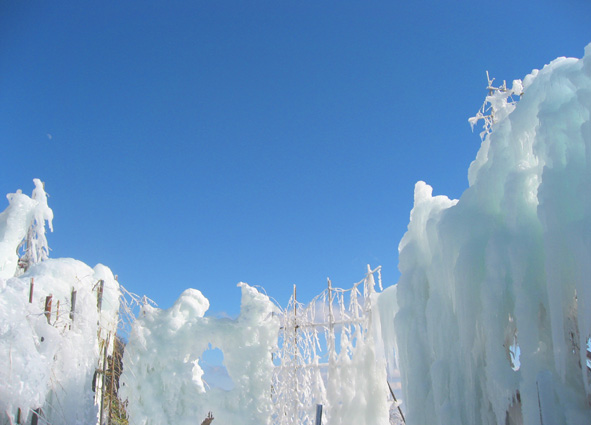 雪の華_d0129249_1053313.jpg