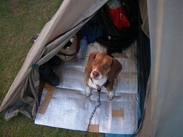 f0046250_0161764.jpg