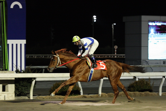 黒船賞選考競走 ガーネット特別 レース_a0077663_6522988.jpg