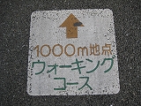 a0093965_20343777.jpg