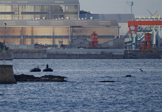 Yokosuka軍港めぐり 吾妻島の 謎 ふりかけ日日日報 11 3 11より今に至り 再生 へ