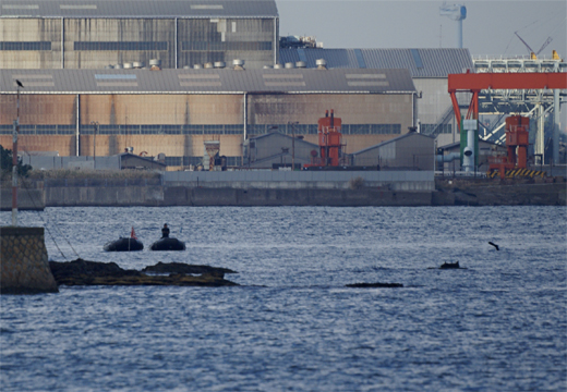 Yokosuka軍港めぐり 吾妻島の 謎 ふりかけ日日日報 11 3 11より今に至り 再生 へ Yokosuka軍港めぐり 吾妻島の 謎 ふりかけ日日日報 11 3 11より今に至り 再生 へ