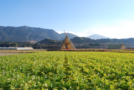 宮崎県「田野町」の名物といえば? KANAり気まま・・・