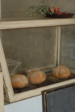 b0173176_1157105.gif
