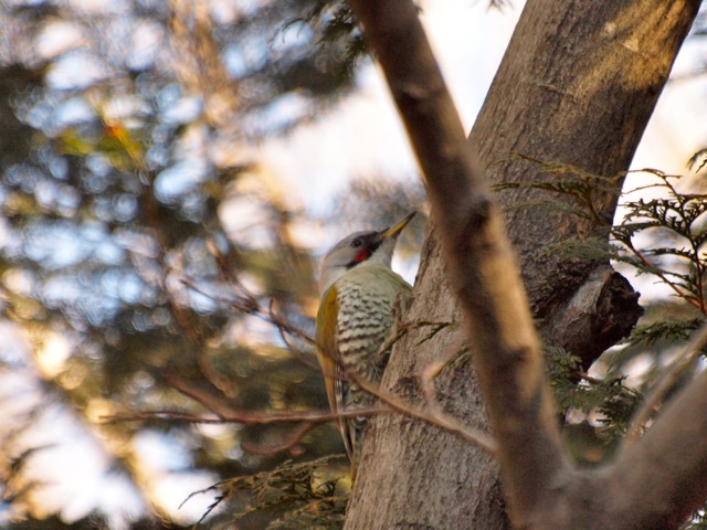 c0061282_13371359.jpg