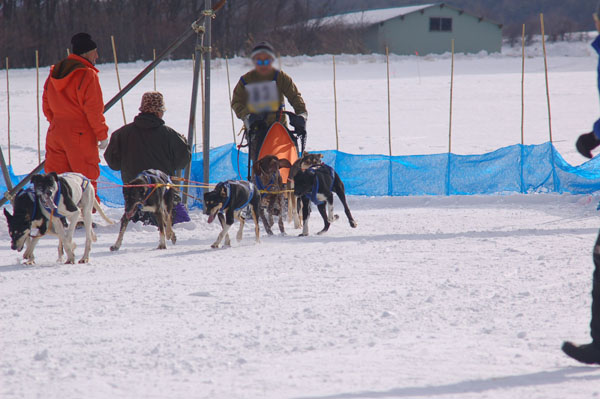 本物！犬ぞり！_d0101385_2135079.jpg