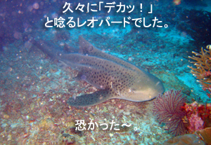 極寒から常夏へ♪_f0144385_23592046.jpg