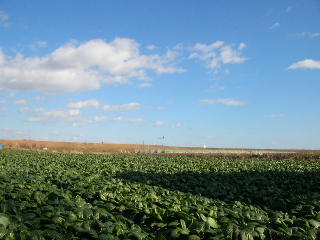 c0029190_175204.jpg