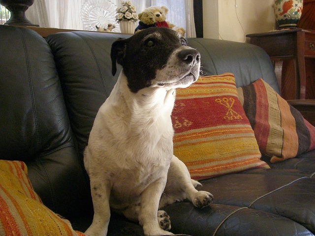 d0050290_23482468.jpg