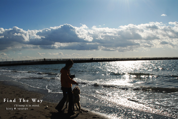 【犬的散歩日和】千葉・検見川の浜　１／２_f0054594_502297.jpg