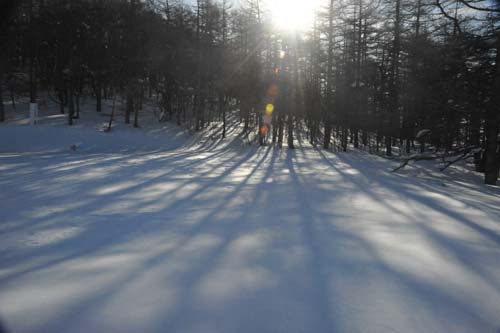 雪の模様の楽しさ_e0120896_739273.jpg