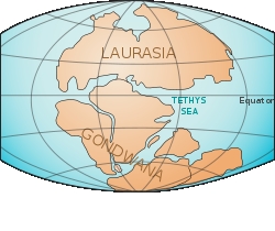 c0053898_9275723.jpg