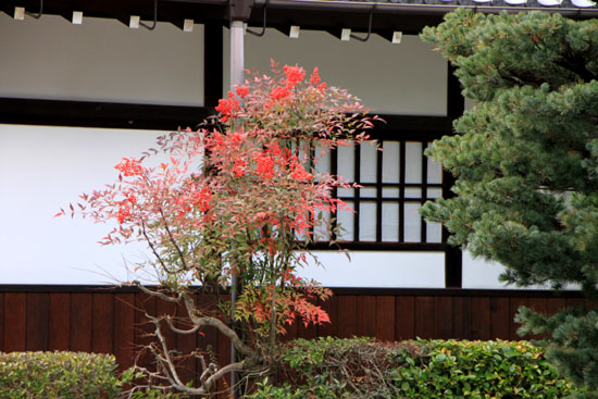 相国寺塔頭 大光明寺_e0048413_21483842.jpg