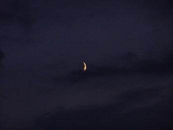 b0087914_8224554.jpg
