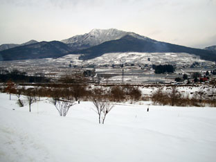c0047814_77353.jpg