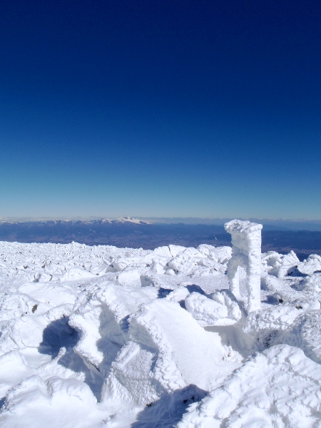 c0177814_2021214.jpg
