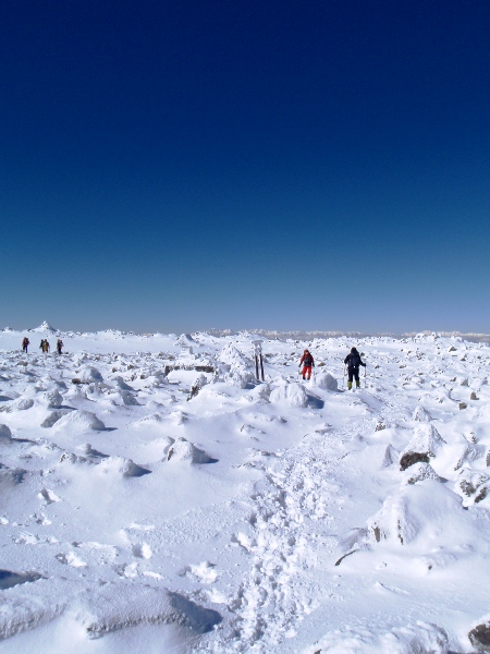 c0177814_2093321.jpg