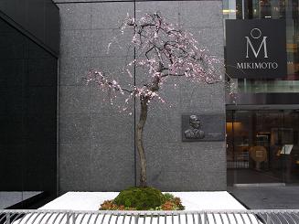 b0077117_21134022.jpg
