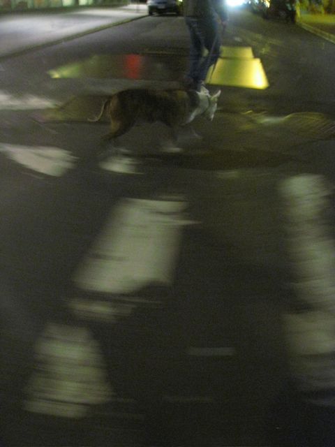 c0120817_2525793.jpg