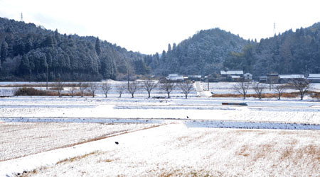 名古屋総合デザイン専門学校の空間塾の活動 2010-1_b0110019_1414151.jpg