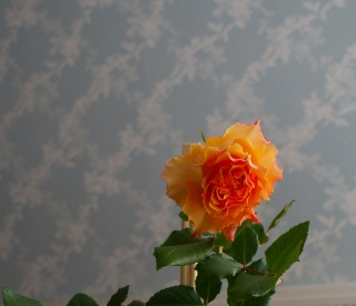 f0170524_11481926.jpg