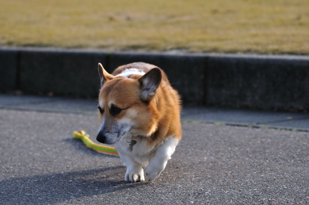 連休のおでかけ(2)_c0214234_2341436.jpg