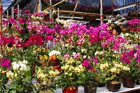 c0008439_0343846.jpg