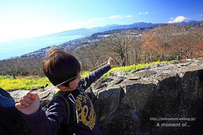 吾妻山公園からの眺め!_d0143741_23383927.jpg