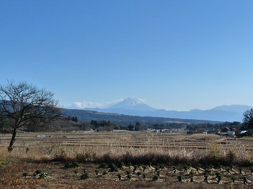 コース作りの楽しみ_f0019247_21113254.jpg