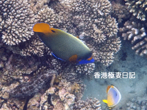 f0190653_10115559.gif