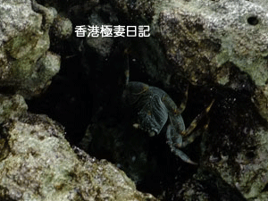 f0190653_10174574.gif