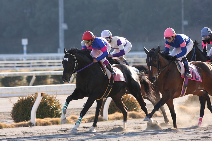 2010年1月24日（日） 高知競馬 1R 笹ヶ峰特別 A2_a0077663_18325224.jpg