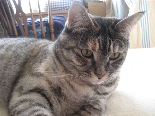 a0123465_0284020.jpg