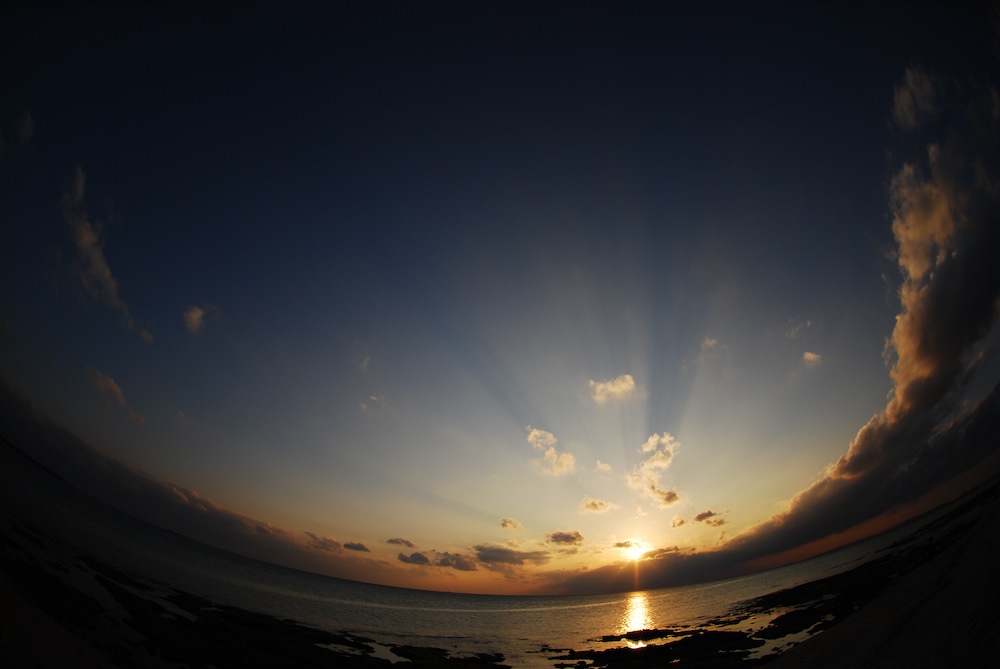 c0132571_1042745.jpg