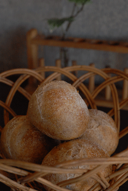 b0173176_1231864.gif
