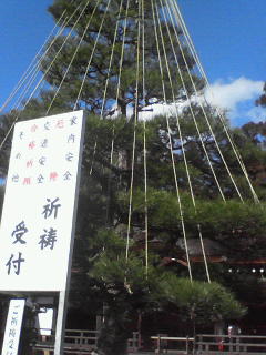 c0180581_1730491.jpg