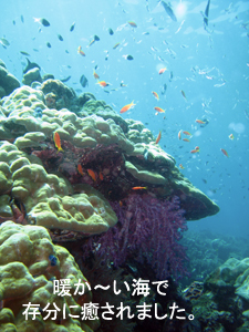 極寒から常夏へ♪_f0144385_024174.jpg