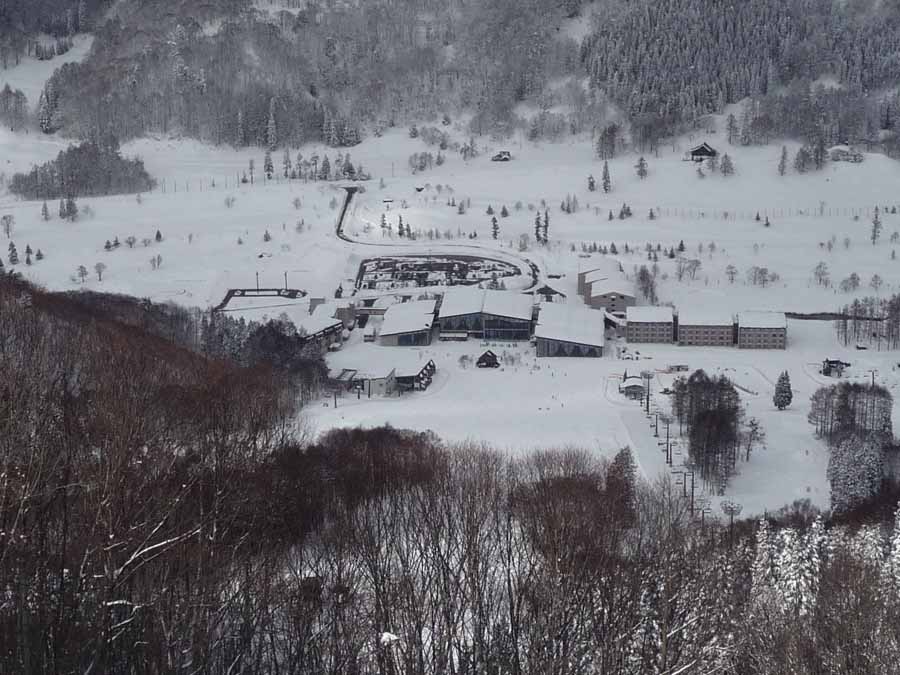 深雪は嬉し楽し_c0223095_156469.jpg