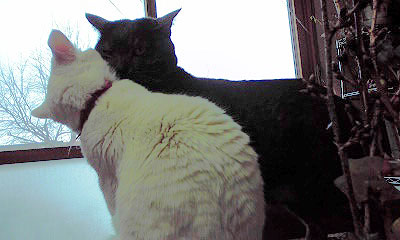 c0206596_19291010.jpg