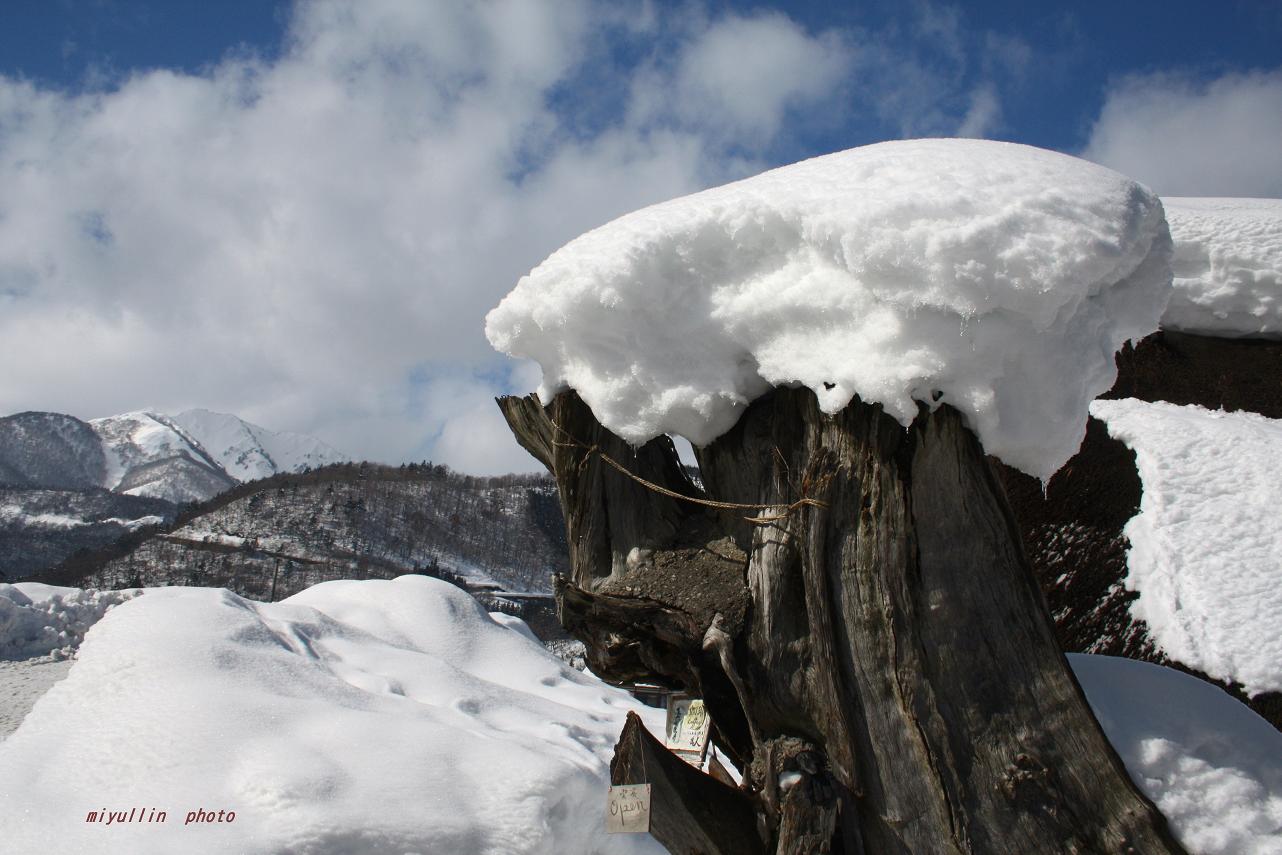 雪の白川郷　２_b0109602_11154845.jpg