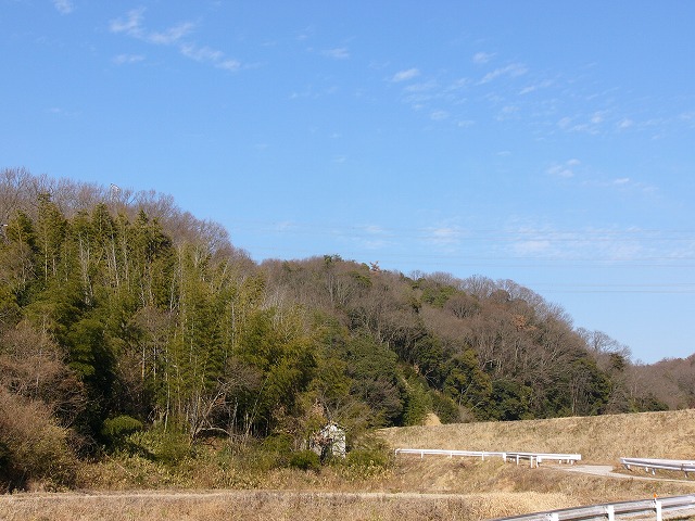 a0123003_1711934.jpg