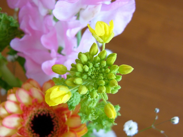 a0123003_17451654.jpg
