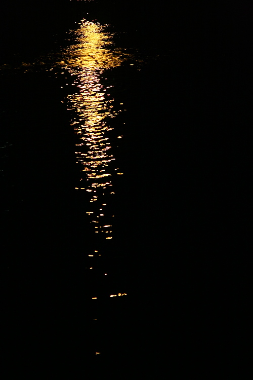 c0223003_016388.jpg