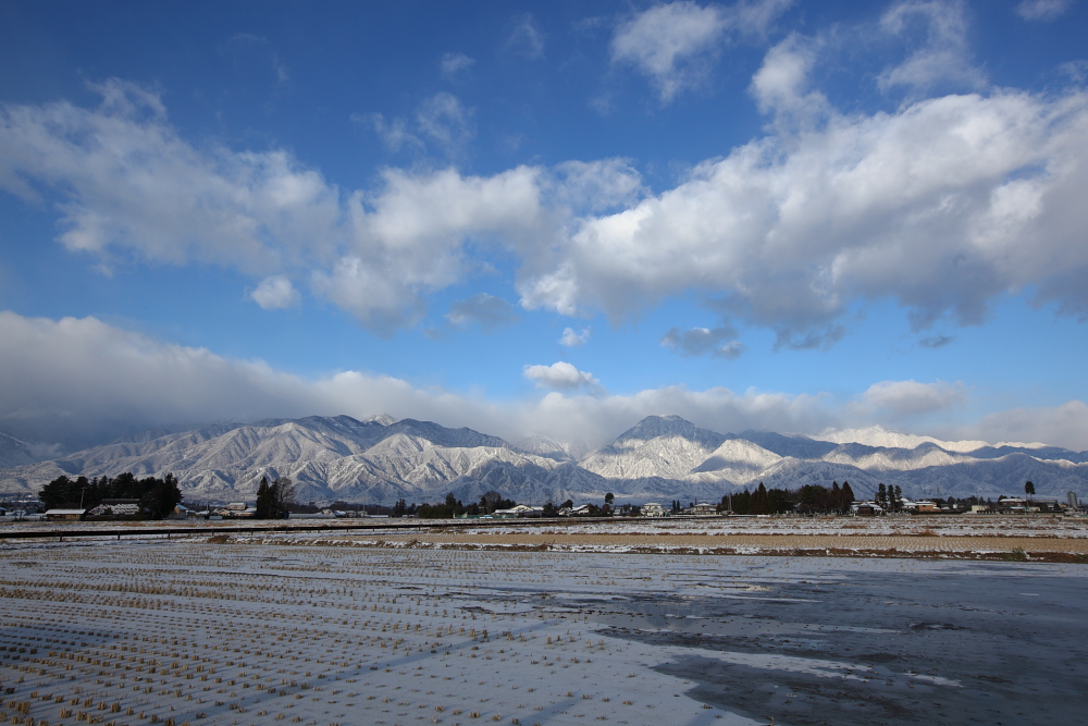 a0155104_21465120.jpg