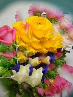 f0121111_0193383.jpg