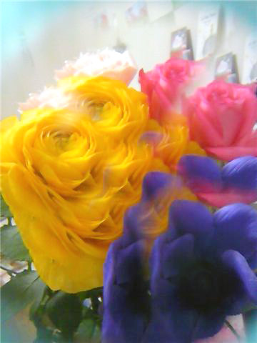 f0121111_0194896.jpg